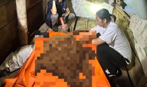 Pojoksulut.com (4)